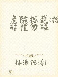 危险总裁:总裁非礼勿碰