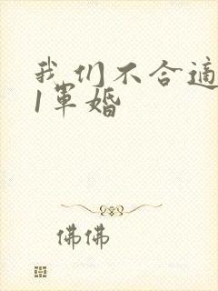 我们不合适1v1军婚