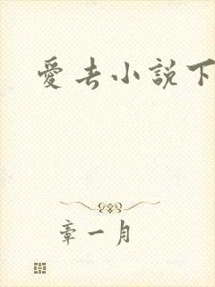 爱去小说下载网