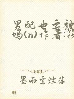 男配也要被爆炒吗(n)作者:筏喻封面