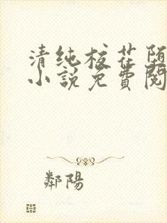 清纯校花堕落记小说免费阅读封面