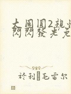 大团圆2亲情会闪闪发光免费