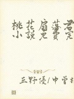 桃花扇落君不还小说免费完整版