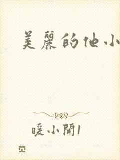 美丽的他小说