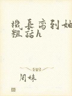 机长脔到她哭h粗话h封面