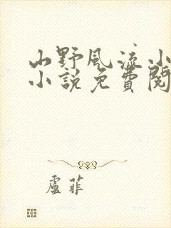 山野风流小神医小说免费阅读