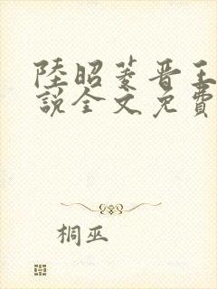 陆昭菱晋王的小说全文免费阅读