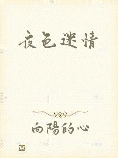 夜色迷情