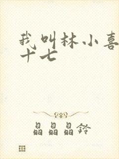 我叫林小喜今年十七