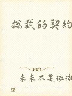 总裁的契约情人封面