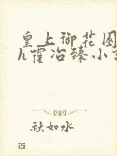 皇上御花园hlh霍冶臻小说封面