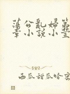 荡公乱妇第51章小说小莹封面