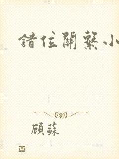 错位关系小说封面