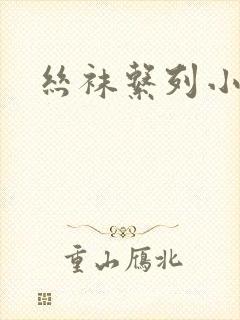 丝袜系列小说封面