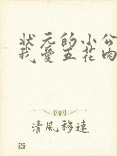 状元的小公主(我爱五花肉)