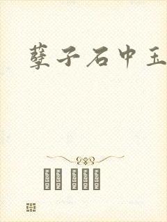 孽子石中玉