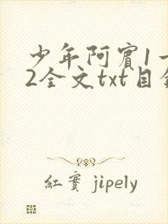 少年阿宾1一72全文txt目录