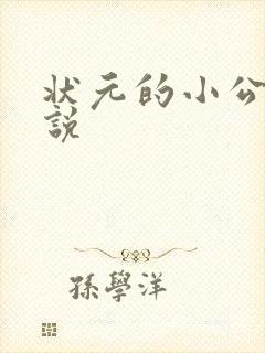 状元的小公主小说