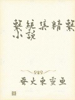 系统集精系统 小说