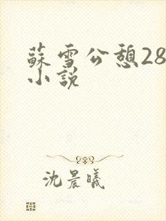 苏雪公憩28篇小说封面