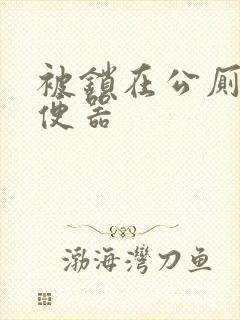 被锁在公厕当坐便器