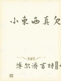 小东西真欠弄