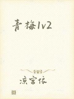 青梅1v2