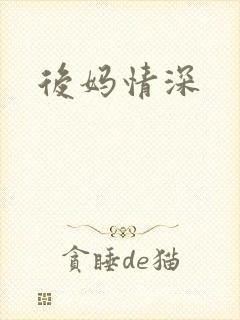 后妈情深封面
