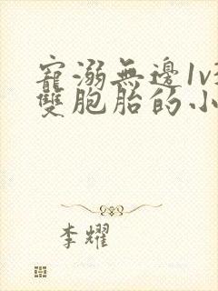 宠溺无边1v3双胞胎的小说