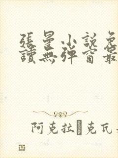 张曼小说免费阅读无弹窗最新章节