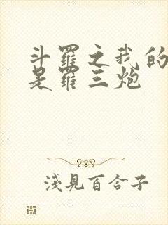 斗罗之我的武魂是罗三炮