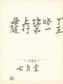 母上攻略 竹影随行第一主板封面