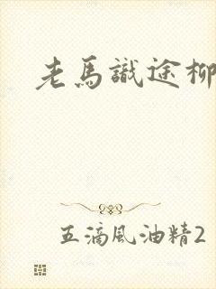 老马识途柳娇娇