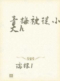 青梅被从小摸到大h