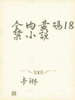 全肉黄码18无禁小说