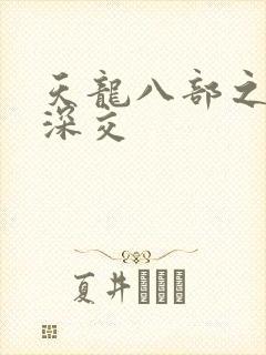 天龙八部之极乐深交封面