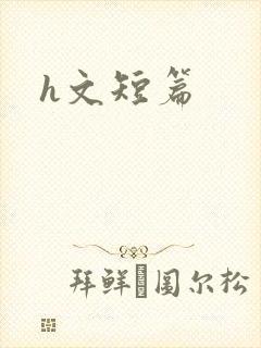 h文短篇