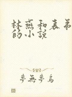 林燕和表弟李明的小说