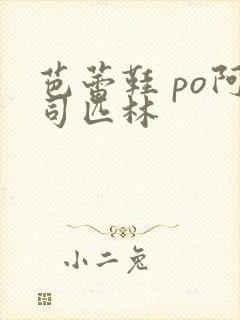 芭蕾鞋 po阿司匹林