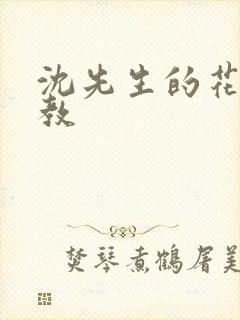 沈先生的花式调教