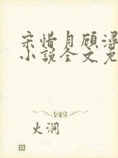 宋惜月顾浔渊的小说全文免费阅读