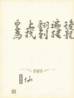 皇上翻遍后宫只为找到爬龙床的宫女小说封面