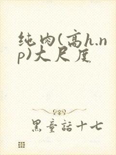 纯肉(高h.np)大尺度