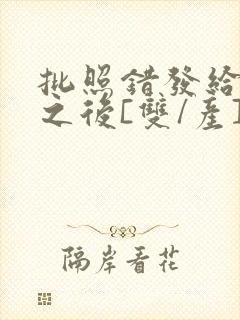 批照错发给情敌之后[双/产]