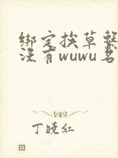 绑定挨草系统后没有wuwu名字