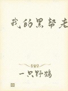 我的黑帮老公封面