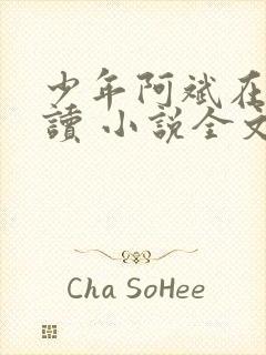 少年阿斌在线阅读 小说全文免费