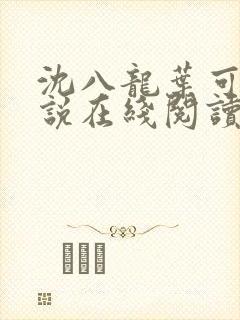 沈八龙叶可怡小说在线阅读封面