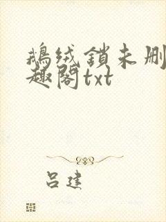 鹅绒锁未删除笔趣阁txt封面