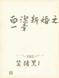 白洁新婚之夜第一章